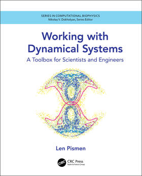 Pismen |  Working with Dynamical Systems | Buch |  Sack Fachmedien