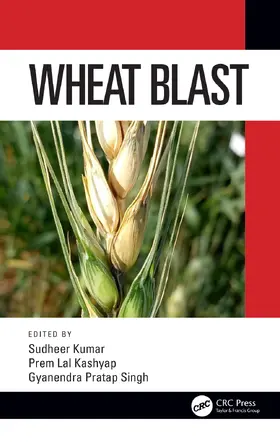 Kashyap / Kumar / Singh |  Wheat Blast | Buch |  Sack Fachmedien