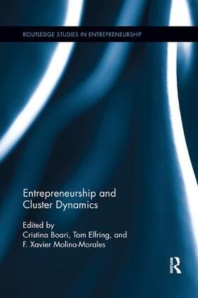 Boari / Elfring / Molina-Morales |  Entrepreneurship and Cluster Dynamics | Buch |  Sack Fachmedien