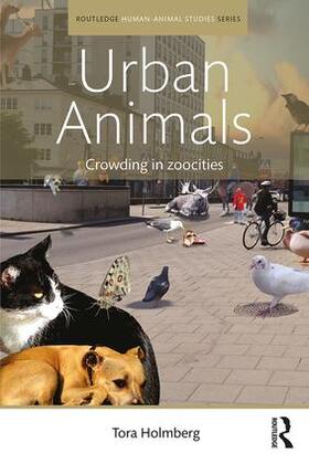Holmberg |  Urban Animals | Buch |  Sack Fachmedien