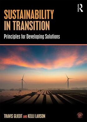 Gliedt / Larson |  Sustainability in Transition | Buch |  Sack Fachmedien