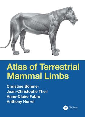 Böhmer / Theil / Fabre |  Atlas of Terrestrial Mammal Limbs | Buch |  Sack Fachmedien
