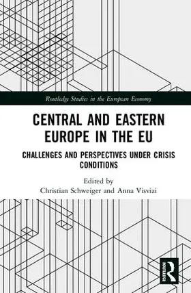 Schweiger / Visvizi |  Central and Eastern Europe in the EU | Buch |  Sack Fachmedien