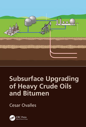 Ovalles |  Subsurface Upgrading of Heavy Crude Oils and Bitumen | Buch |  Sack Fachmedien