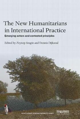 Sezgin / Dijkzeul |  The New Humanitarians in International Practice | Buch |  Sack Fachmedien