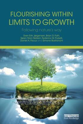 Jørgensen / Fath / Nielsen |  Flourishing Within Limits to Growth | Buch |  Sack Fachmedien