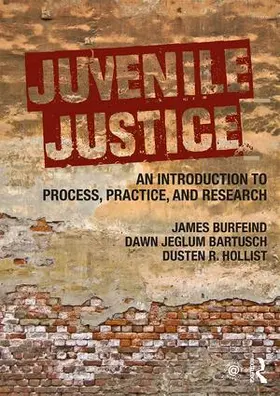 Burfeind / Bartusch / Hollist |  Juvenile Justice | Buch |  Sack Fachmedien