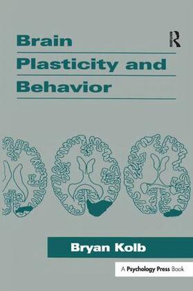 Kolb |  Brain Plasticity and Behavior | Buch |  Sack Fachmedien