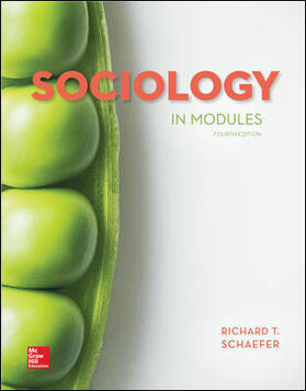 Schaefer |  Sociology in Modules | Buch |  Sack Fachmedien