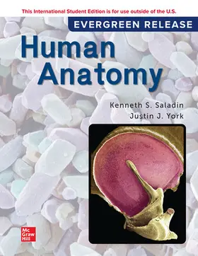 Saladin |  Human Anatomy: 2024 Release ISE | Buch |  Sack Fachmedien