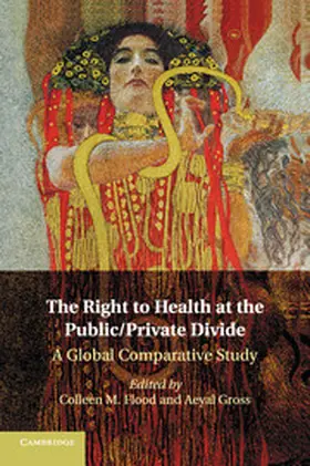 Flood / Gross |  The Right to Health at the Public/Private Divide | Buch |  Sack Fachmedien