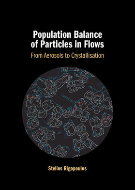 Rigopoulos |  Population Balance of Particles in Flows | Buch |  Sack Fachmedien