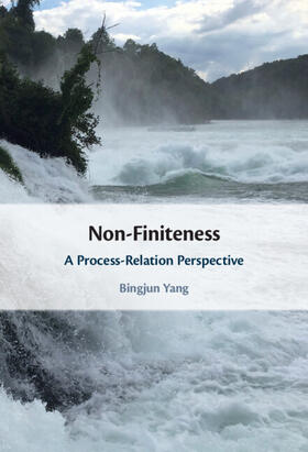 Yang |  Non-Finiteness | Buch |  Sack Fachmedien