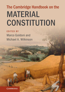 Goldoni / Wilkinson |  The Cambridge Handbook on the Material Constitution | Buch |  Sack Fachmedien
