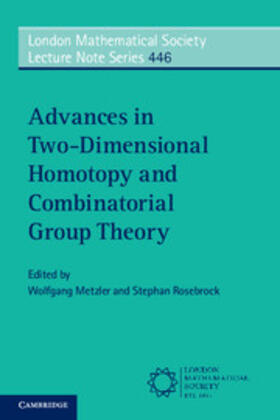 Metzler / Rosebrock |  Advances in Two-Dimensional Homotopy and Combinatorial Group             Theory | Buch |  Sack Fachmedien