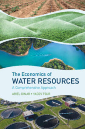 Dinar / Tsur |  The Economics of Water Resources | Buch |  Sack Fachmedien