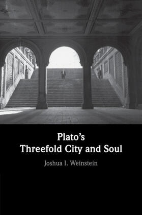 Weinstein |  Plato's Threefold City and Soul | Buch |  Sack Fachmedien