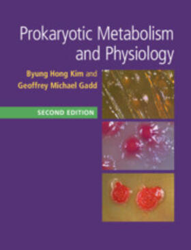 Kim / Gadd |  Prokaryotic Metabolism and Physiology | Buch |  Sack Fachmedien