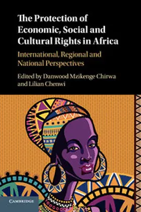 Chirwa / Chenwi |  The Protection of Economic, Social and Cultural Rights in Africa | Buch |  Sack Fachmedien