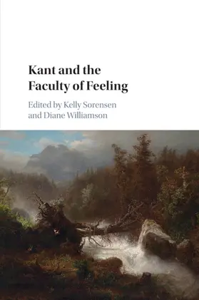 Sorensen / Williamson |  Kant and the Faculty of Feeling | Buch |  Sack Fachmedien