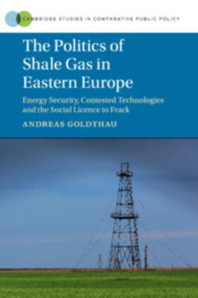 Goldthau |  The Politics of Shale Gas in Eastern Europe | Buch |  Sack Fachmedien