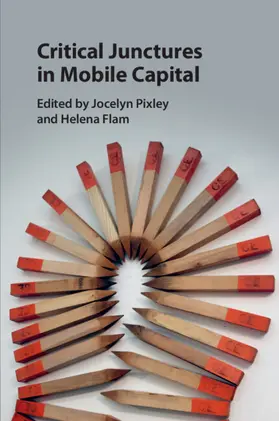 Pixley / Flam |  Critical Junctures in Mobile Capital | Buch |  Sack Fachmedien