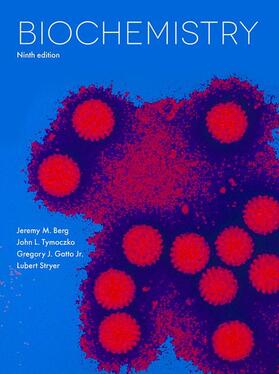 Berg / Stryer / Tymoczko |  Berg, J: Biochemistry | Buch |  Sack Fachmedien