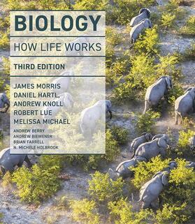 Morris / Hartl / Knoll |  Lozovsky, E: Biology: How Life Works | Buch |  Sack Fachmedien