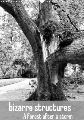 Vincke |  bizarre structures a forest after a storm (Wall Calendar 2021 DIN A3 Portrait) | Sonstiges |  Sack Fachmedien