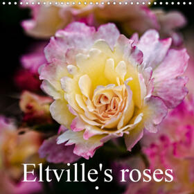 Meyer |  Eltville's roses (Wall Calendar 2021 300 × 300 mm Square) | Sonstiges |  Sack Fachmedien