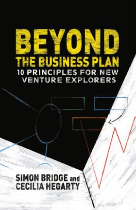 Hegarty / Bridge |  Beyond the Business Plan | Buch |  Sack Fachmedien