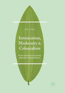 Bjelic / Bjelic |  Intoxication, Modernity, and Colonialism | Buch |  Sack Fachmedien