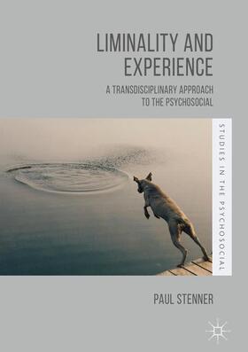 Stenner |  Liminality and Experience | Buch |  Sack Fachmedien