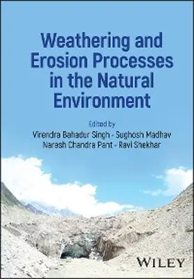 Bahadur Singh / Madhav / Chandra Pant |  Weathering and Erosion Processes in the Natural Environment | eBook | Sack Fachmedien