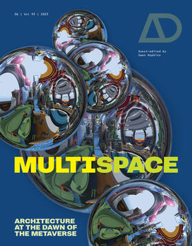 Hopkins |  Multispace | Buch |  Sack Fachmedien