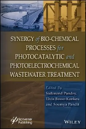 Pandey / Fosso-Kankeu / Pandit |  Synergy of Bio-Chemical Processes for Photocatalytic and Photoelectrochemical Wastewater Treatment | eBook | Sack Fachmedien