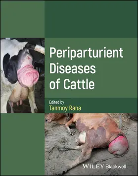 Rana |  Periparturient Diseases of Cattle | Buch |  Sack Fachmedien