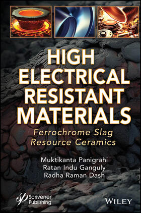 Panigrahi / Ganguly / Dash |  High Electrical Resistant Materials | Buch |  Sack Fachmedien