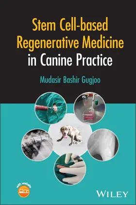 Bashir Gugjoo |  Stem Cell-based Regenerative Medicine in Canine Practice | Buch |  Sack Fachmedien