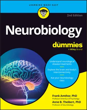 Amthor / Theibert |  Neurobiology for Dummies | Buch |  Sack Fachmedien