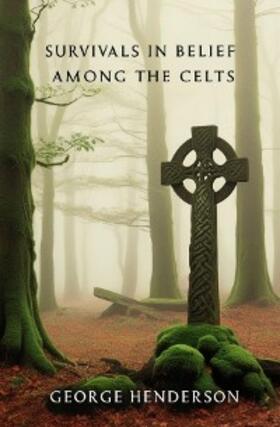 Henderson |  Survivals in Belief Among the Celts | eBook | Sack Fachmedien