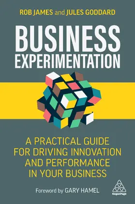 James / Goddard |  Business Experimentation | Buch |  Sack Fachmedien