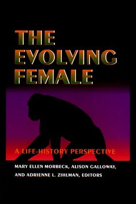 Morbeck / Galloway / Zihlman |  The Evolving Female | eBook | Sack Fachmedien