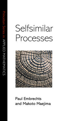 Embrechts |  Selfsimilar Processes | eBook | Sack Fachmedien