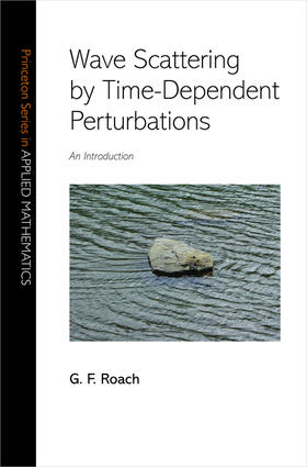 Roach |  Wave Scattering by Time-Dependent Perturbations | eBook | Sack Fachmedien