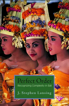 Lansing |  Perfect Order | eBook | Sack Fachmedien