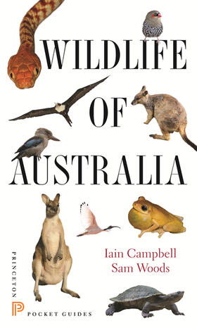 Campbell / Woods |  Wildlife of Australia | eBook | Sack Fachmedien