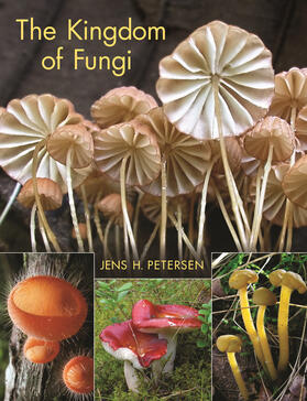 Petersen |  The Kingdom of Fungi | eBook | Sack Fachmedien