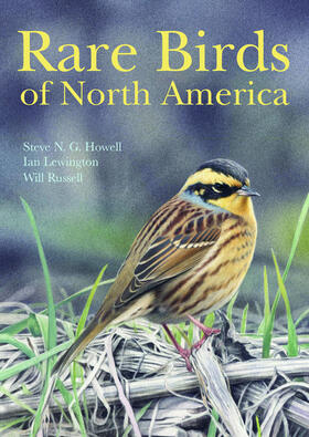 Howell / Lewington / Russell |  Rare Birds of North America | eBook | Sack Fachmedien