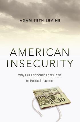 Levine |  American Insecurity | eBook | Sack Fachmedien